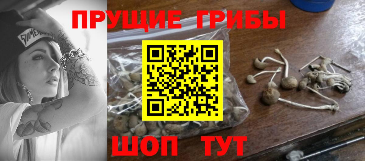 где продают   Галлюциногенные грибы прущие грибы  Галлюциногенные грибы мухоморы  Вход с VPN  Гулькевичи 
